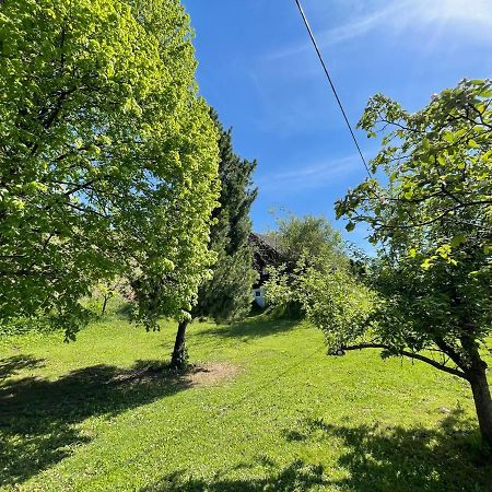 Ferienhuette Bosic Villa Baierdorf Eksteriør billede