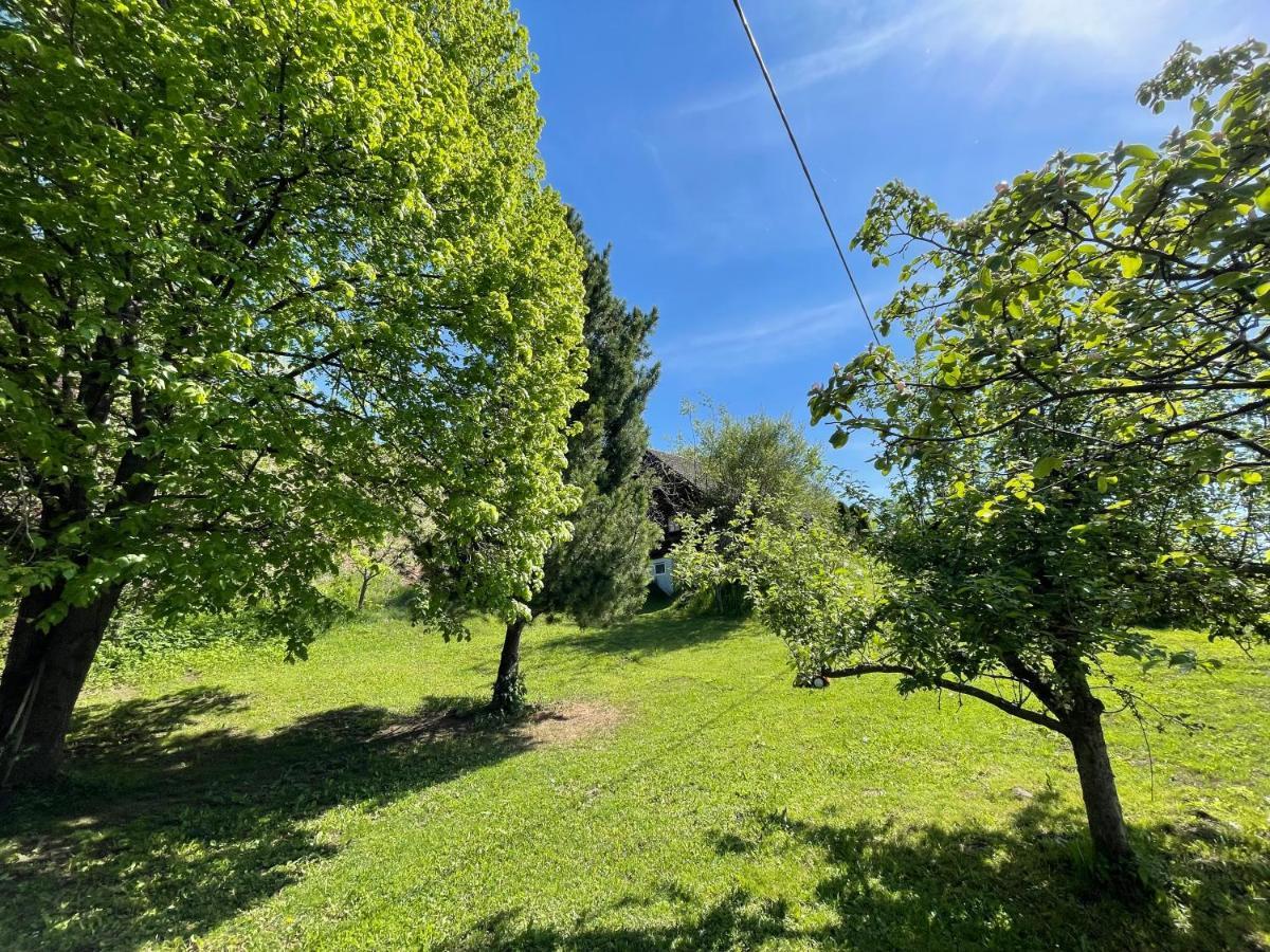 Ferienhuette Bosic Villa Baierdorf Eksteriør billede